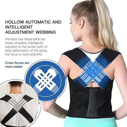 Back Belt